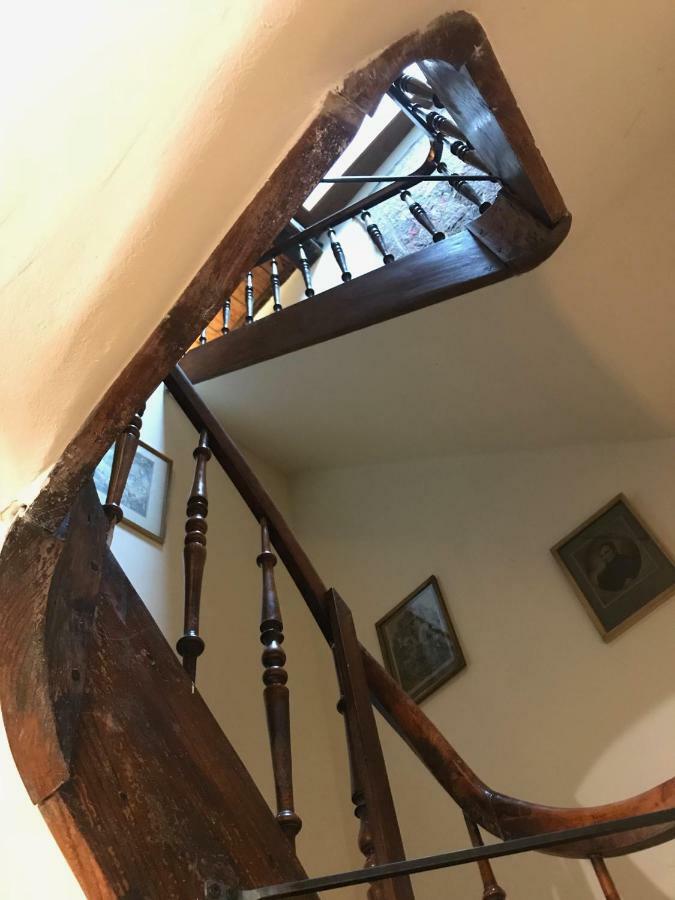 Bed & Breakfast Au Lion D'or Maastricht